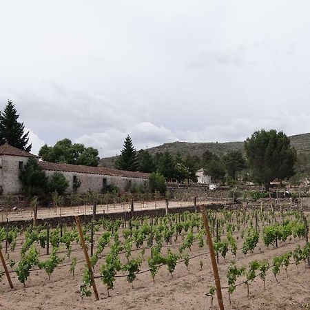 Museu Casa Aleixo Guest House Sernancelhe Екстериор снимка