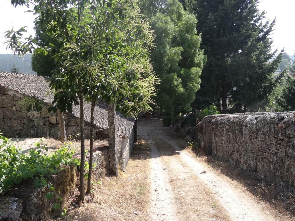 Museu Casa Aleixo Guest House Sernancelhe Екстериор снимка