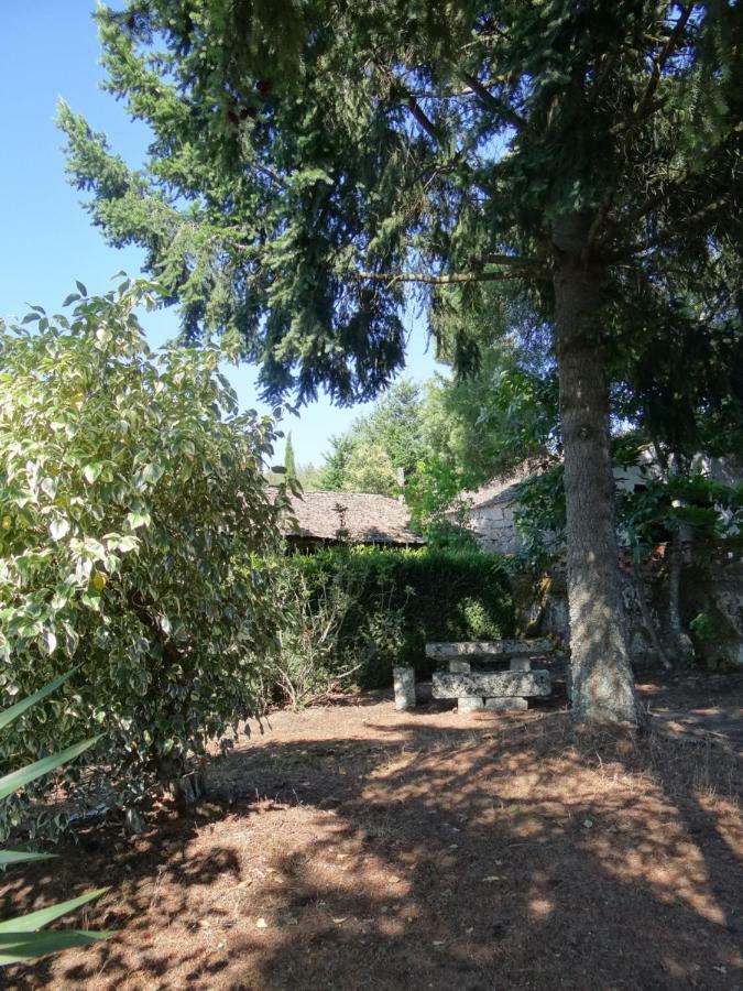 Museu Casa Aleixo Guest House Sernancelhe Екстериор снимка